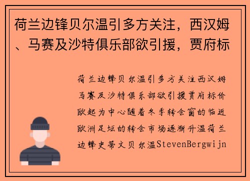 荷兰边锋贝尔温引多方关注，西汉姆、马赛及沙特俱乐部欲引援，贾府标价欧起